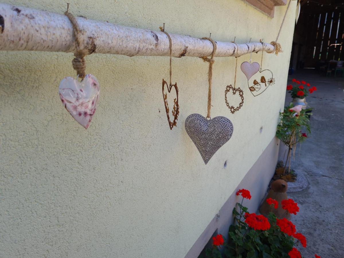 Gite Le Coeur D'Alsace Boofzheim Luaran gambar